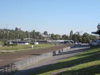 Hastings Racecourse track and grandstand